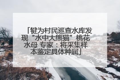 犍为村民巡查水库发现“水中大熊猫”桃花水母 专家：将采集样本鉴定具体种属