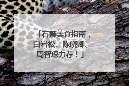 石狮美食指南，白岩松、陈晓卿、周智琛力荐！