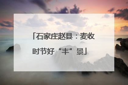 石家庄赵县：麦收时节好“丰”景