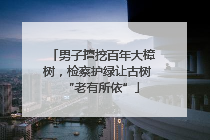 男子擅挖百年大樟树，检察护绿让古树“老有所依”