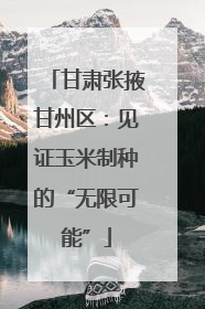 甘肃张掖甘州区：见证玉米制种的“无限可能”