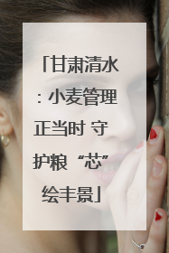 甘肃清水：小麦管理正当时 守护粮“芯”绘丰景