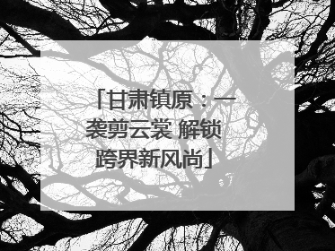 甘肃镇原：一袭剪云裳 解锁跨界新风尚