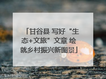 甘谷县 写好“生态+文旅”文章 绘就乡村振兴新图景
