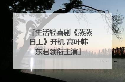 生活轻喜剧《蒸蒸日上》开机 高叶韩东君领衔主演