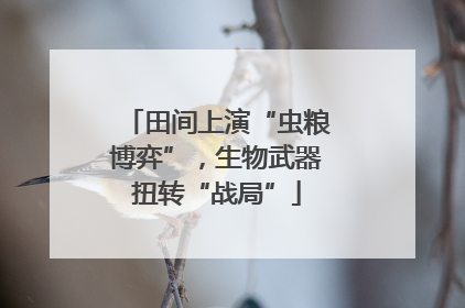 田间上演“虫粮博弈”，生物武器扭转“战局”