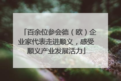 百余位参会德（欧）企业家代表走进顺义，感受顺义产业发展活力