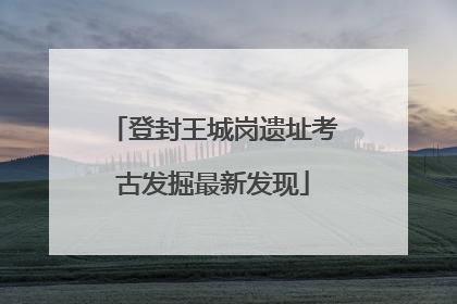 登封王城岗遗址考古发掘最新发现
