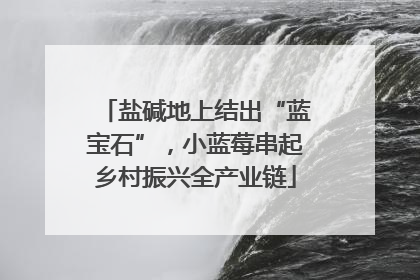 盐碱地上结出“蓝宝石”，小蓝莓串起乡村振兴全产业链