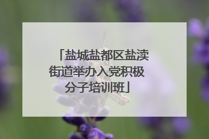 盐城盐都区盐渎街道举办入党积极分子培训班