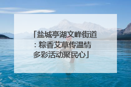 盐城亭湖文峰街道：粽香艾草传温情 多彩活动聚民心