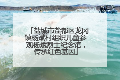 盐城市盐都区龙冈镇杨斌村组织儿童参观杨斌烈士纪念馆，传承红色基因