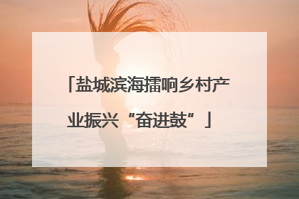 盐城滨海擂响乡村产业振兴“奋进鼓”
