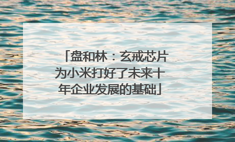 盘和林：玄戒芯片为小米打好了未来十年企业发展的基础