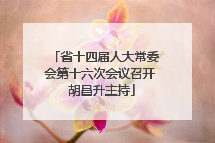 省十四届人大常委会第十六次会议召开 胡昌升主持
