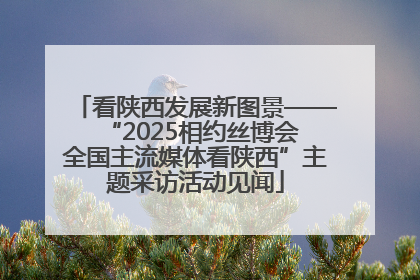 看陕西发展新图景——“2025相约丝博会 全国主流媒体看陕西”主题采访活动见闻