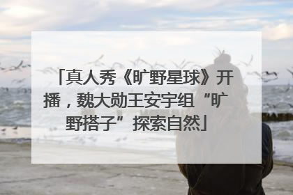 真人秀《旷野星球》开播，魏大勋王安宇组“旷野搭子”探索自然