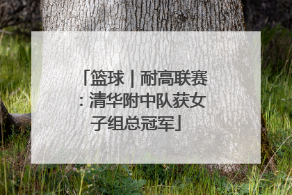 篮球｜耐高联赛：清华附中队获女子组总冠军