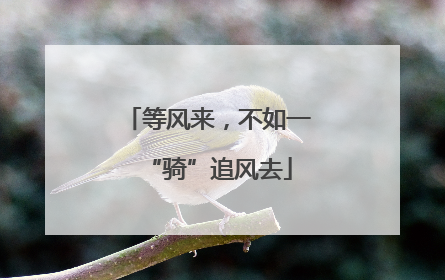 等风来，不如一“骑”追风去