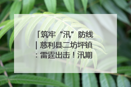 筑牢“汛”防线｜慈利县二坊坪镇：雷霆出击！汛期捕鱼被紧急叫停