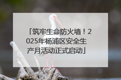筑牢生命防火墙！2025年杨浦区安全生产月活动正式启动
