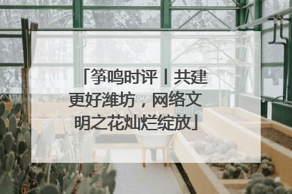 筝鸣时评丨共建更好潍坊，网络文明之花灿烂绽放