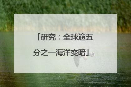 研究：全球逾五分之一海洋变暗