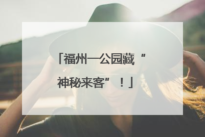 福州一公园藏“神秘来客”！