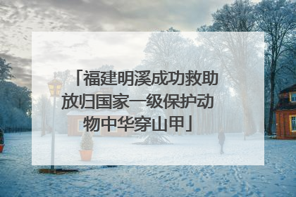 福建明溪成功救助放归国家一级保护动物中华穿山甲