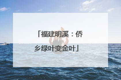 福建明溪：侨乡绿叶变金叶
