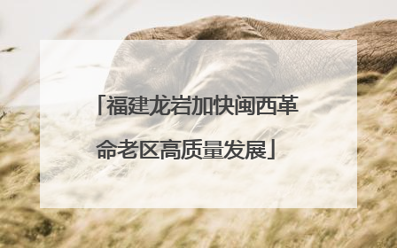 福建龙岩加快闽西革命老区高质量发展