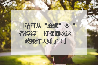 秸秆从“麻烦”变“香饽饽” 打捆回收这波操作太赚了！