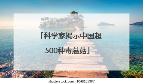 科学家揭示中国超500种毒蘑菇