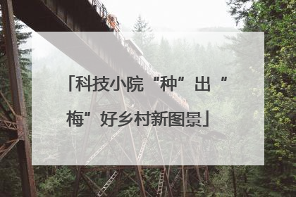 科技小院“种”出“梅”好乡村新图景