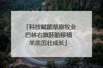 科技赋能草原牧业 巴林右旗胚胎移植羊羔茁壮成长