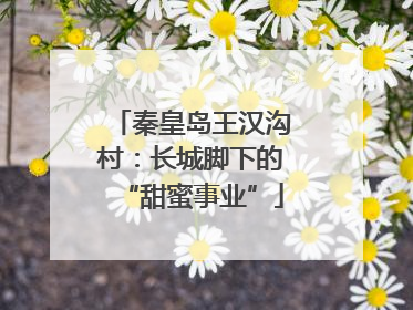 秦皇岛王汉沟村：长城脚下的“甜蜜事业”
