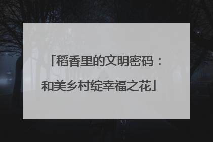 稻香里的文明密码：和美乡村绽幸福之花