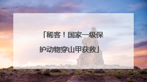 稀客！国家一级保护动物穿山甲获救