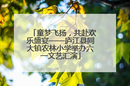 童梦飞扬，共赴欢乐盛宴——庐江县同大镇农林小学举办六一文艺汇演
