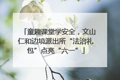 童趣课堂学安全，文山仁和边境派出所“法治礼包”点亮“六一”