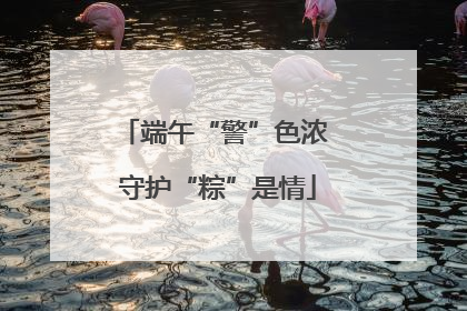 端午“警”色浓 守护“粽”是情