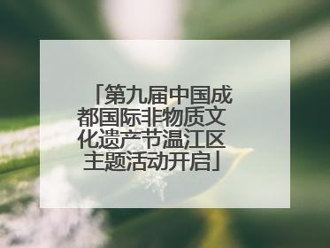 第九届中国成都国际非物质文化遗产节温江区主题活动开启