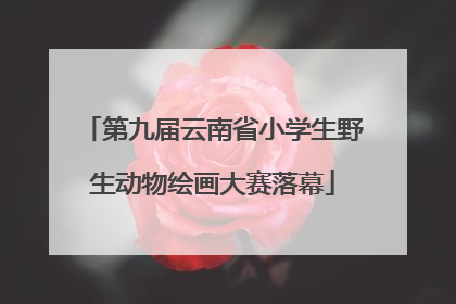 第九届云南省小学生野生动物绘画大赛落幕