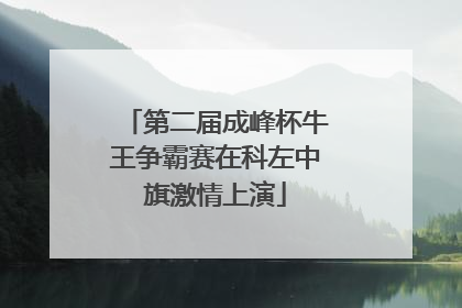 第二届成峰杯牛王争霸赛在科左中旗激情上演