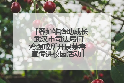 翼护雏鹰助成长 武汉市司法局何湾强戒所开展禁毒宣传进校园活动