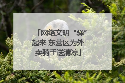 网络文明“驿”起来 东营区为外卖骑手送清凉