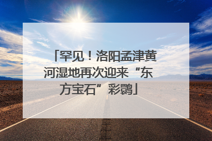 罕见！洛阳孟津黄河湿地再次迎来“东方宝石”彩鹮