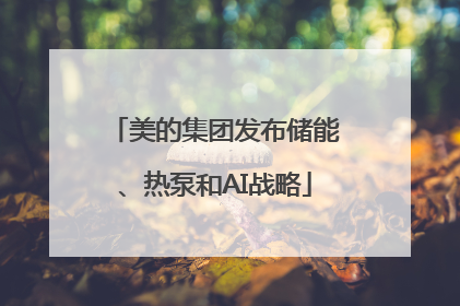 美的集团发布储能、热泵和AI战略
