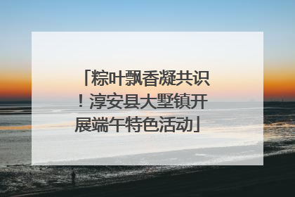 粽叶飘香凝共识！淳安县大墅镇开展端午特色活动