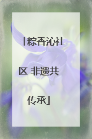 粽香沁社区 非遗共传承